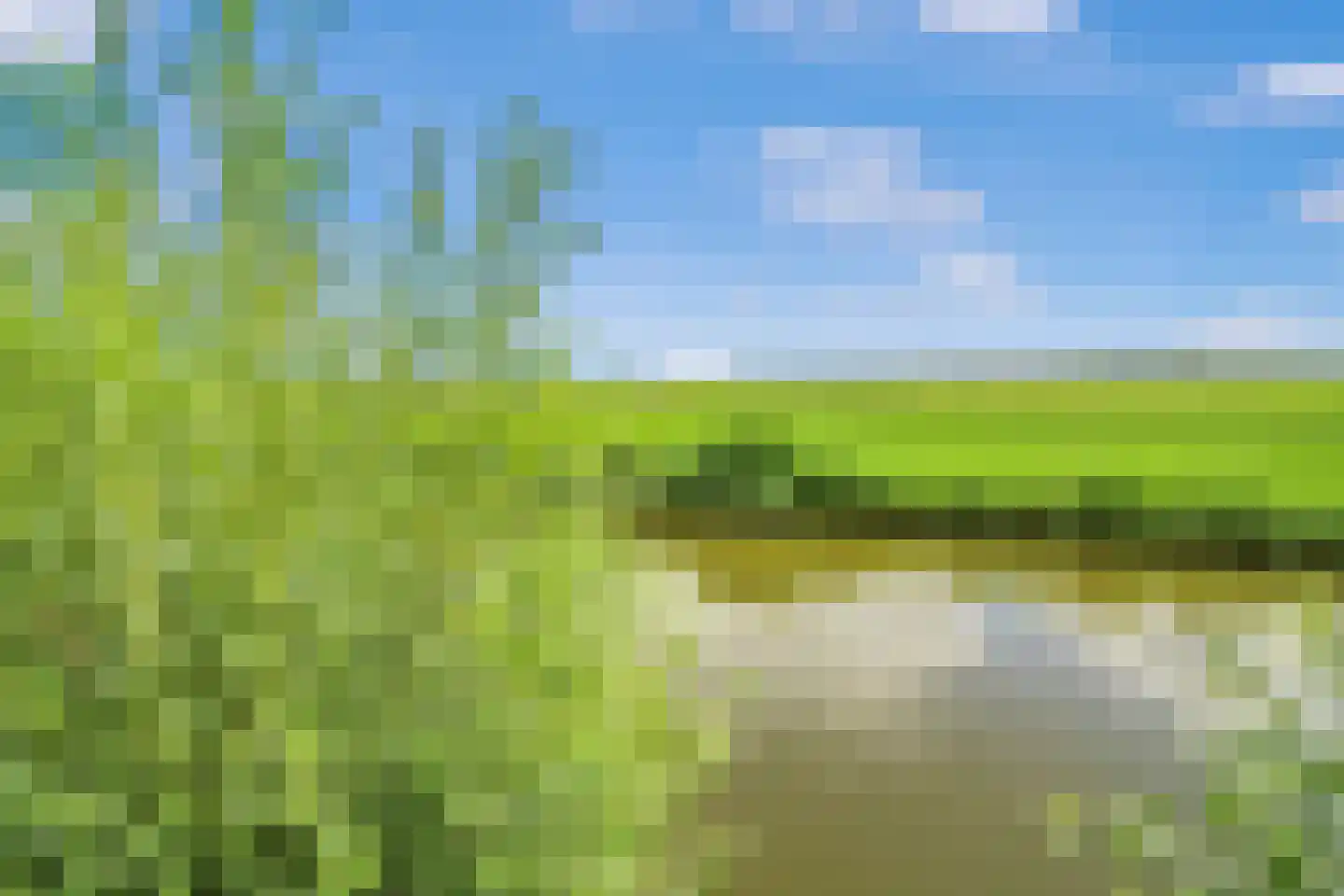 Lijsbeth Tijsweg 7 62 Berkhout thumbnail 14