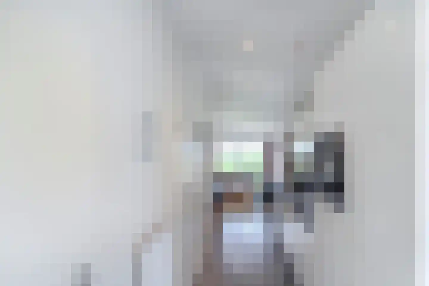 Lijsbeth Tijsweg 7 62 Berkhout thumbnail 4