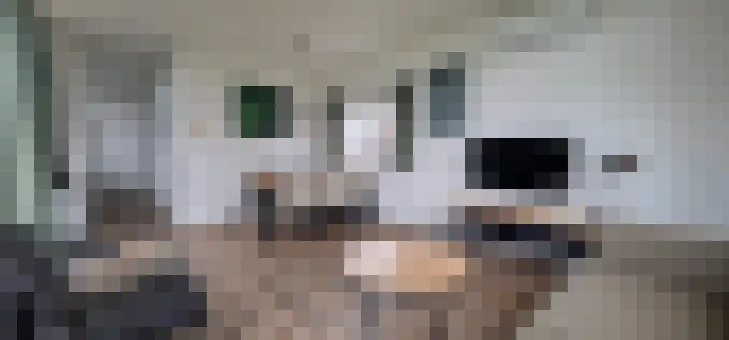 Lijsbeth Tijsweg 7 69 Berkhout thumbnail 5
