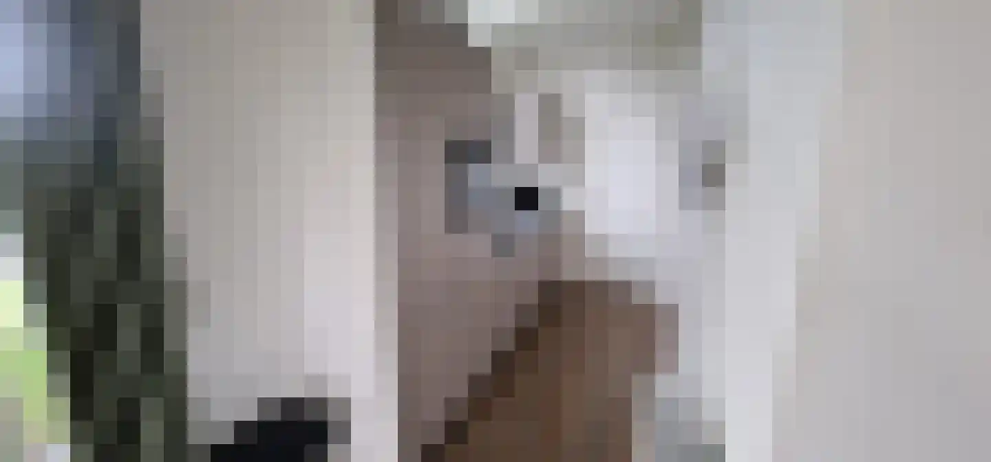 Lijsbeth Tijsweg 7 69 Berkhout thumbnail 6