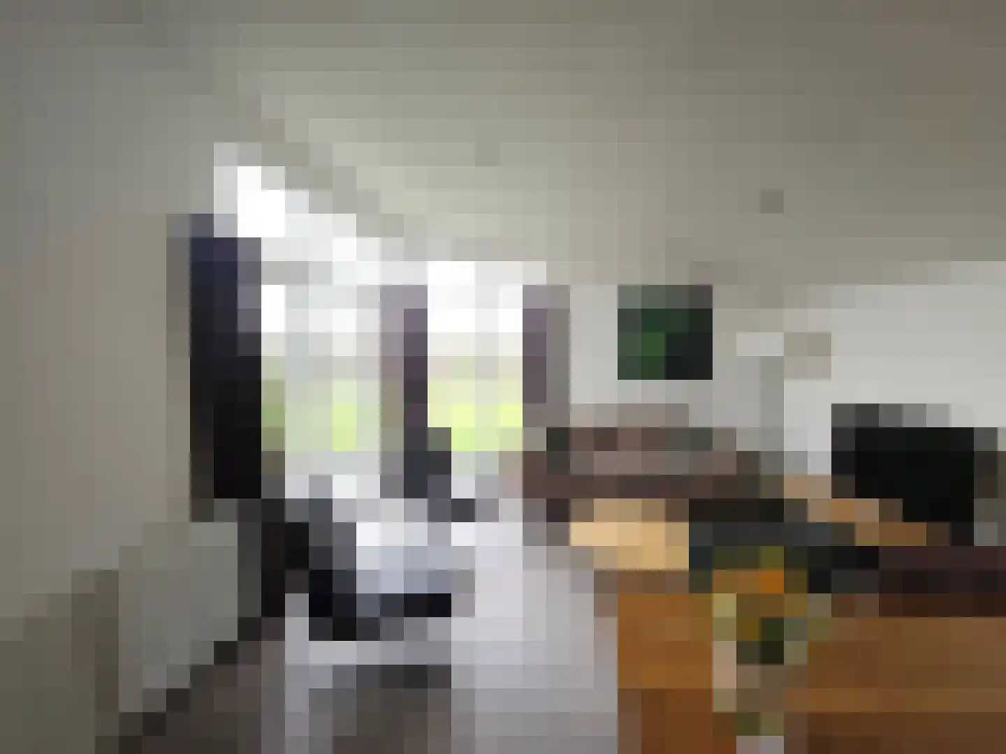Lijsbeth Tijsweg 7 73 Berkhout thumbnail 5