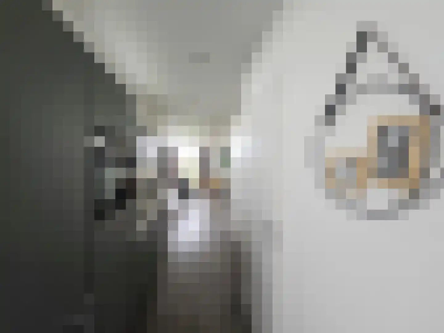 Lijsbeth Tijsweg 7 73 Berkhout thumbnail 7