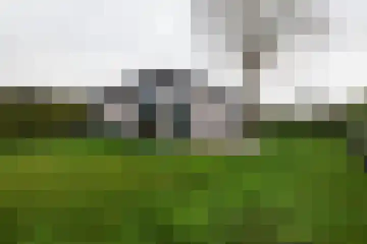 Lijsbeth Tijsweg 7 74 in Berkhout