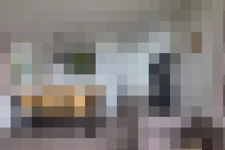 Lijsbeth Tijsweg 7 74 Berkhout thumbnail 10