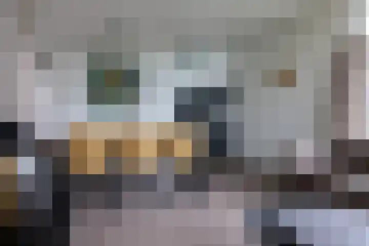 Lijsbeth Tijsweg 7 74 Berkhout thumbnail 11