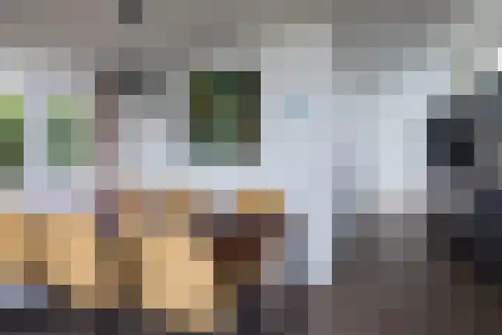Lijsbeth Tijsweg 7 74 Berkhout thumbnail 13