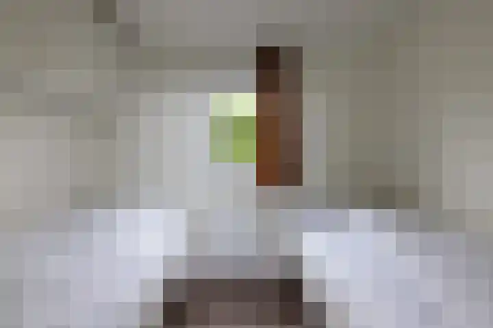 Lijsbeth Tijsweg 7 74 Berkhout thumbnail 16