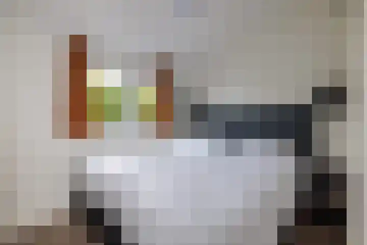 Lijsbeth Tijsweg 7 74 Berkhout thumbnail 17