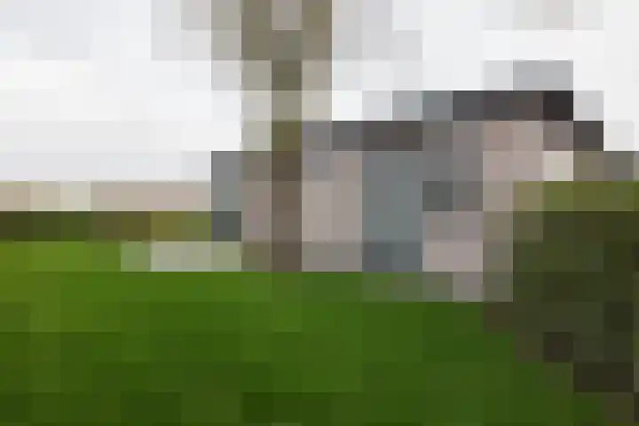 Lijsbeth Tijsweg 7 74 Berkhout foto 2