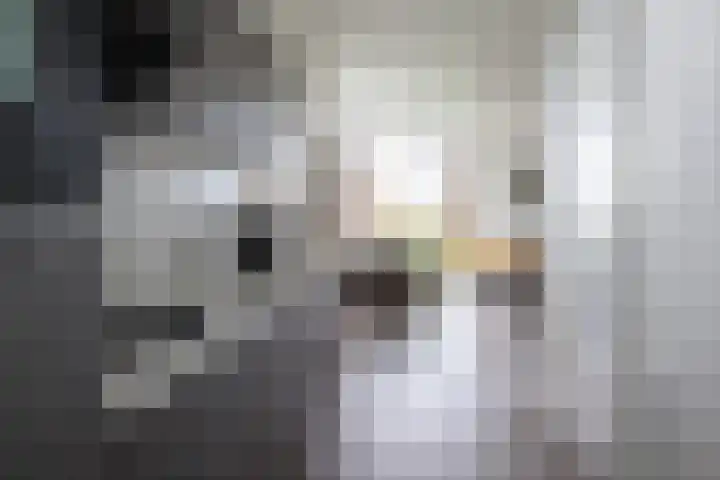 Lijsbeth Tijsweg 7 74 Berkhout thumbnail 6