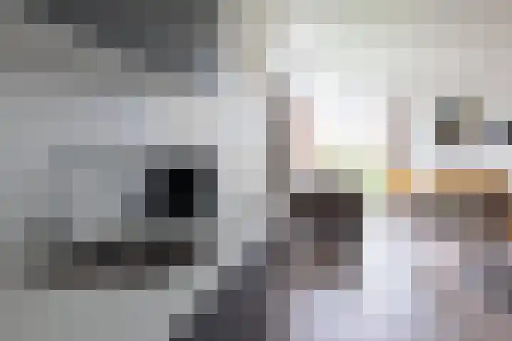 Lijsbeth Tijsweg 7 74 Berkhout thumbnail 7
