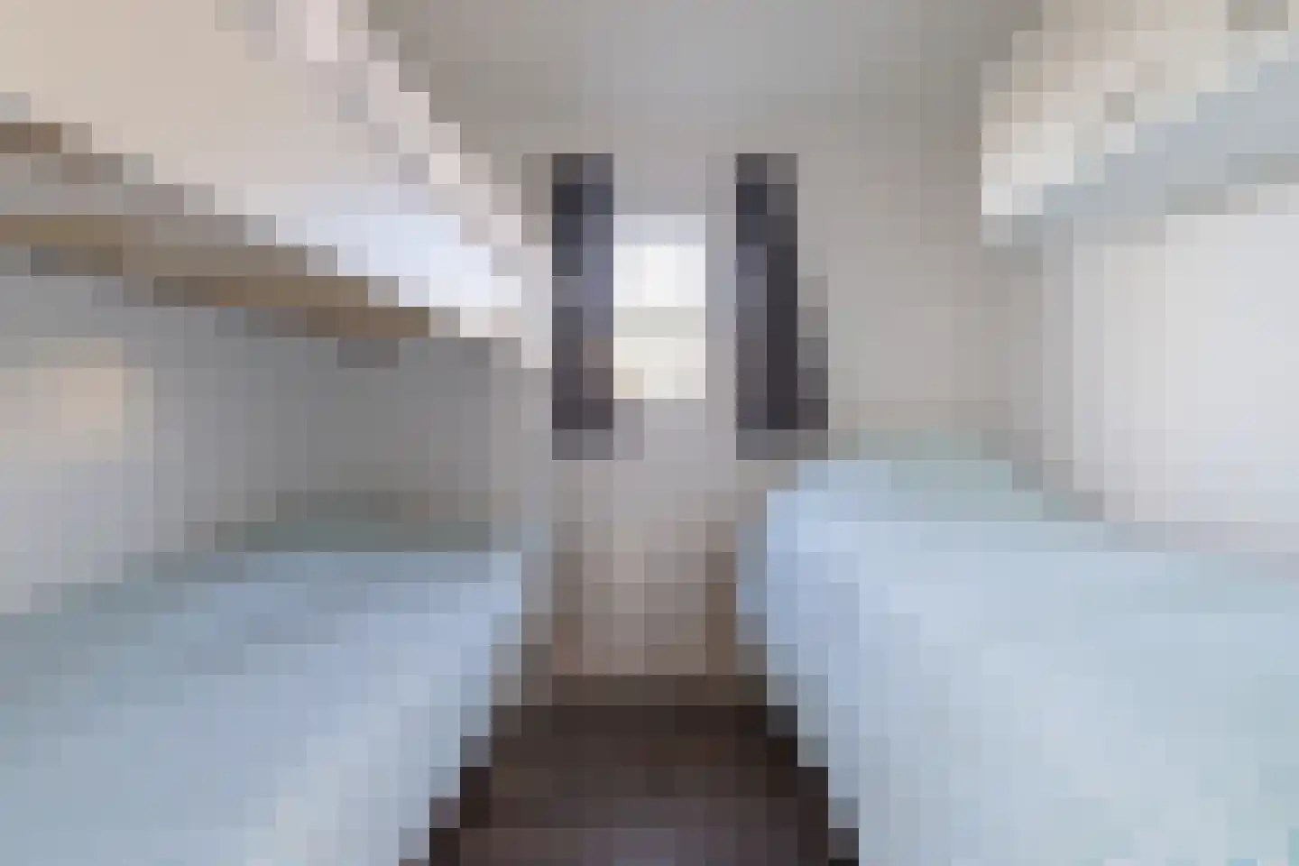 Lijsbeth Tijsweg 7 82 Berkhout thumbnail 13