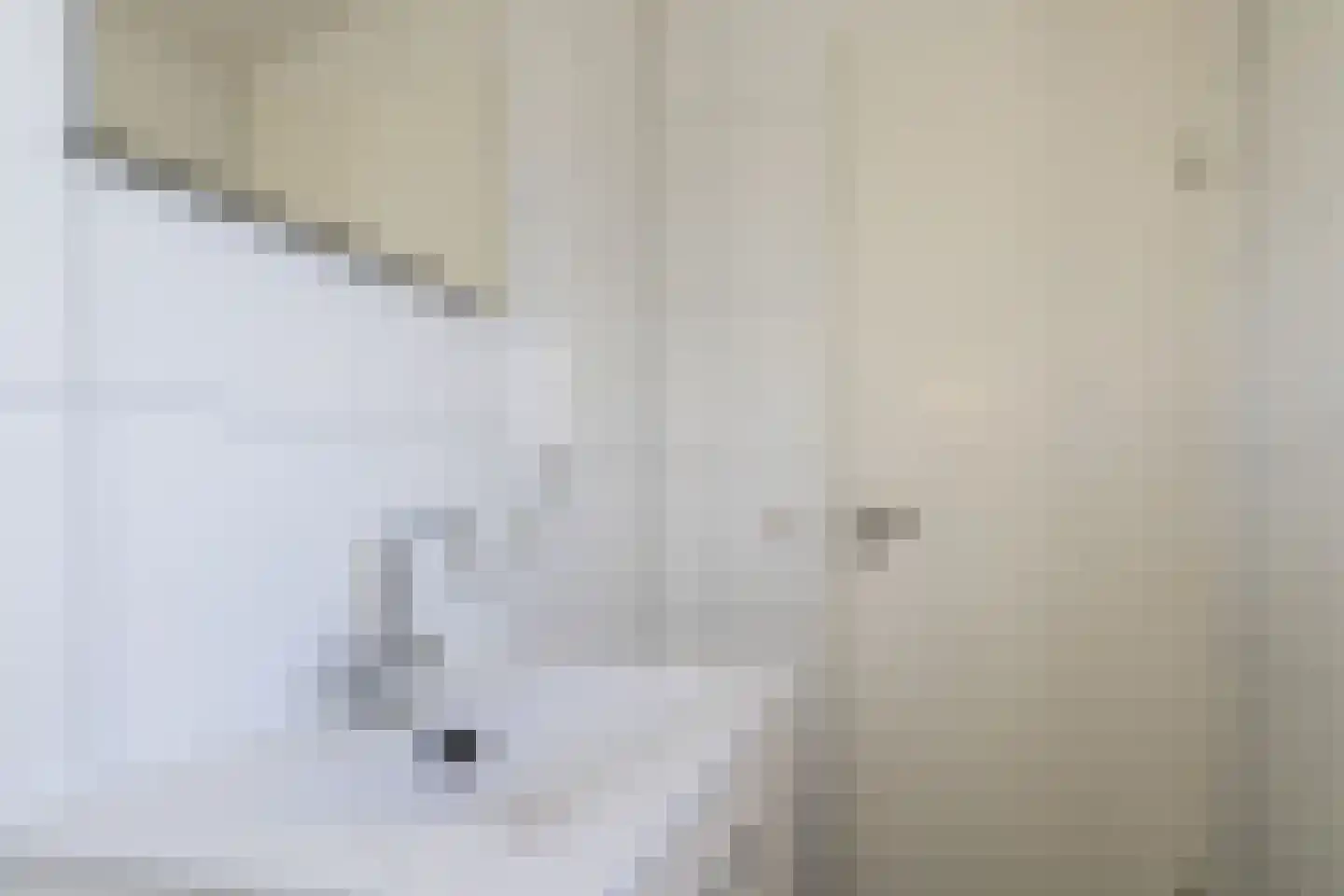 Lijsbeth Tijsweg 7 82 Berkhout thumbnail 15