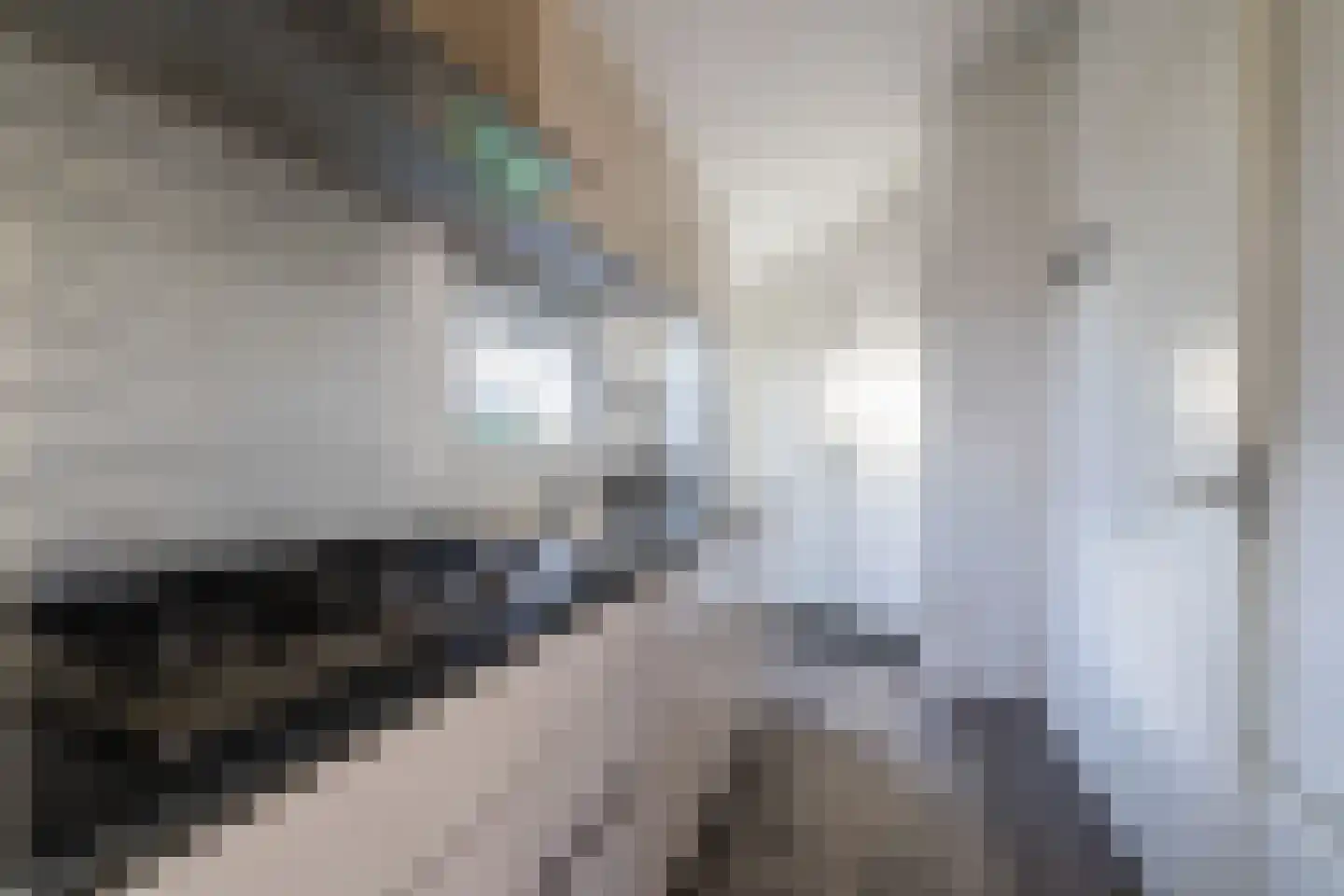 Lijsbeth Tijsweg 7 82 Berkhout thumbnail 6