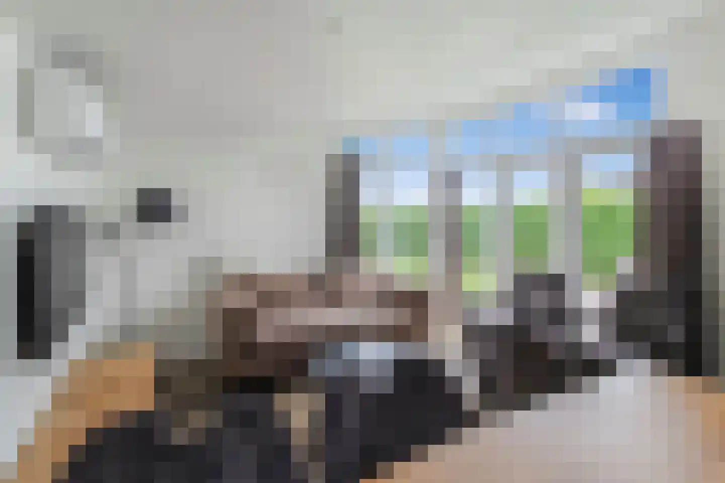 Lijsbeth Tijsweg 7 98 Berkhout thumbnail 5