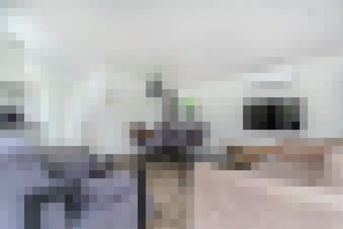 Lijsbeth Tijsweg 7 98 Berkhout thumbnail 7
