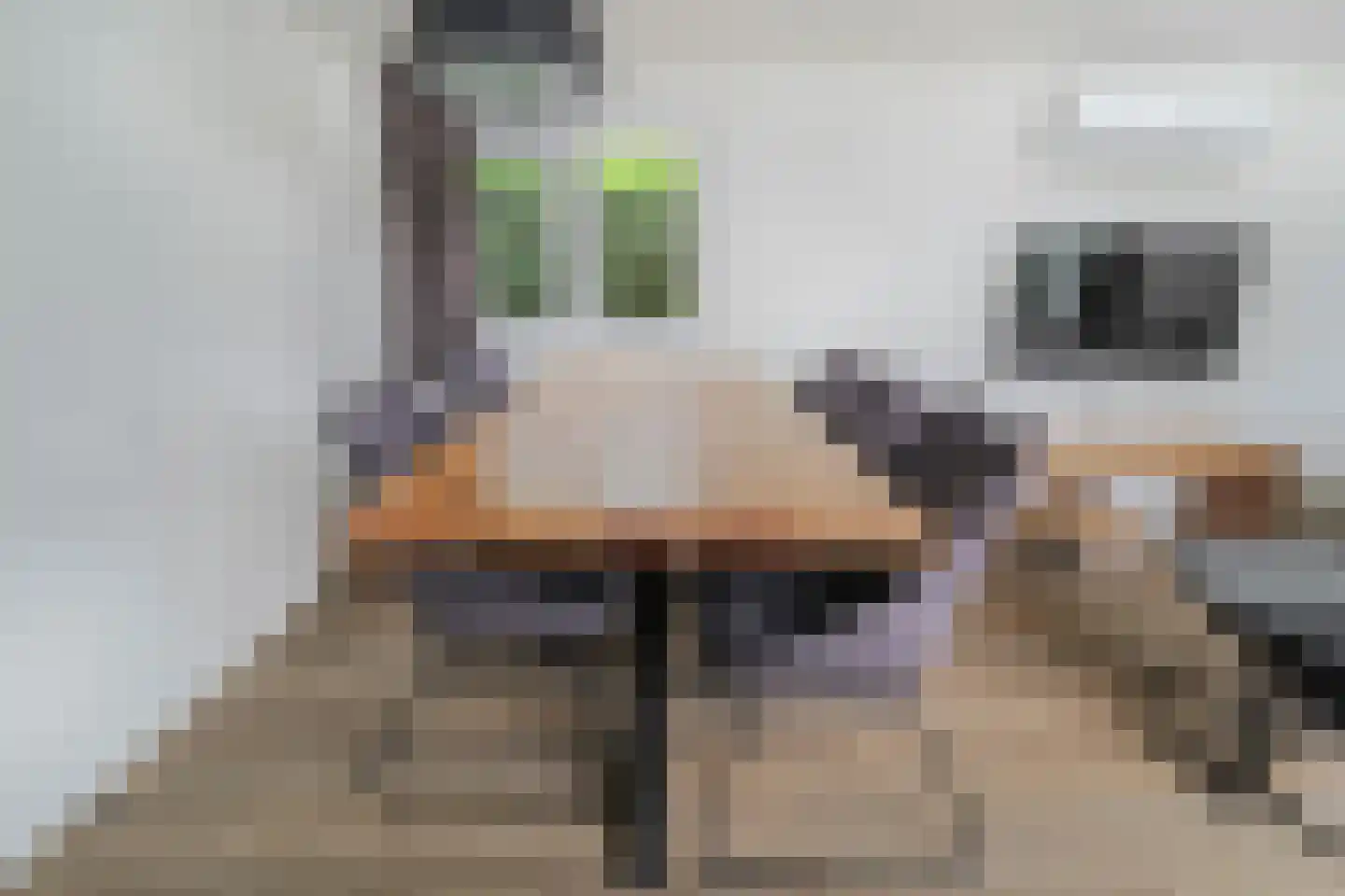 Lijsbeth Tijsweg 7 98 Berkhout thumbnail 8