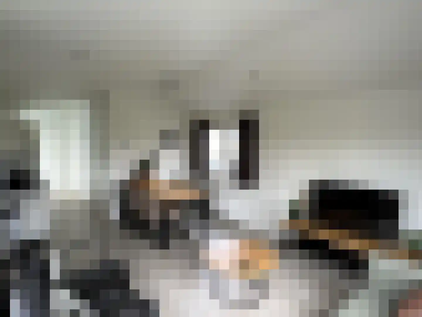 Lijsbeth Tijsweg 7 Berkhout thumbnail 13