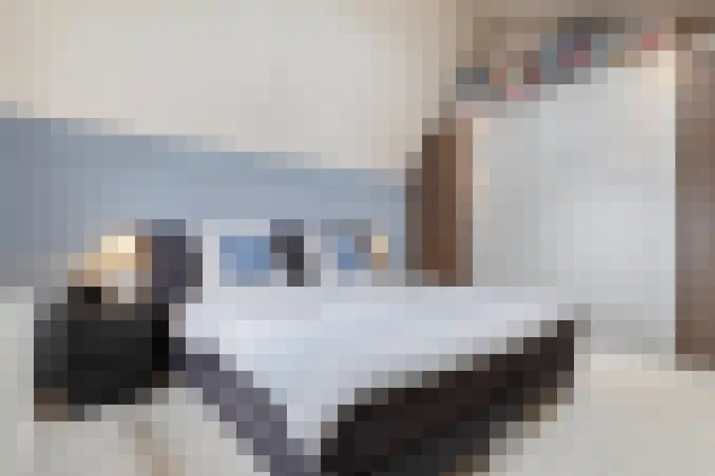 Lijsbeth van Villeynstraat 37 Helmond thumbnail 40