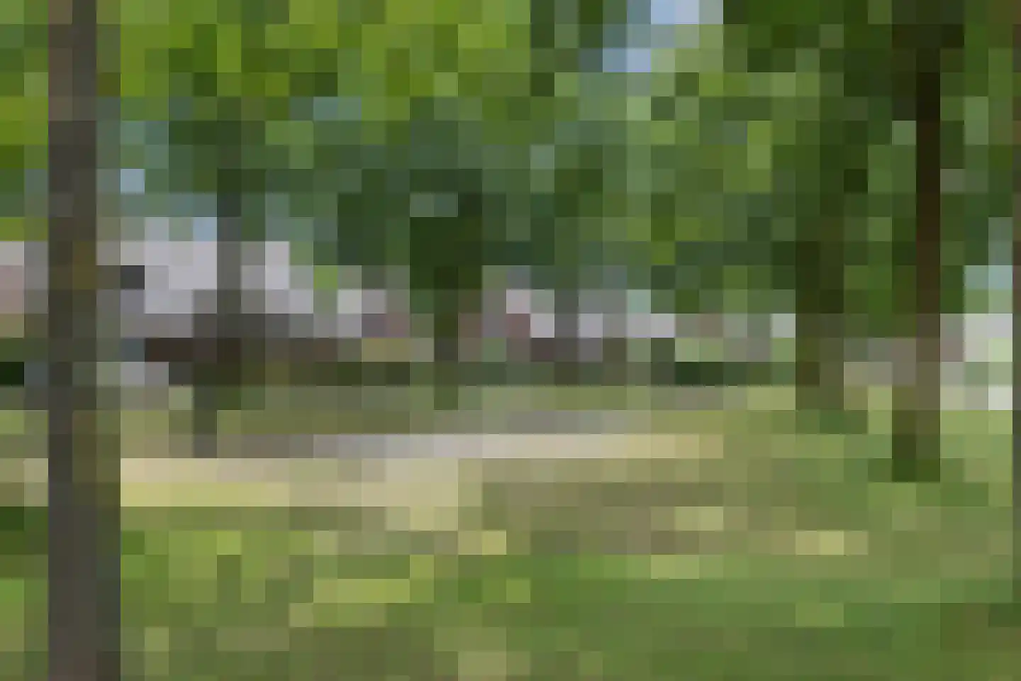 Lijsbeth van Villeynstraat 37 Helmond thumbnail 51