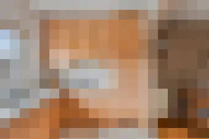 Lijsenhof 23 Brakel thumbnail 15