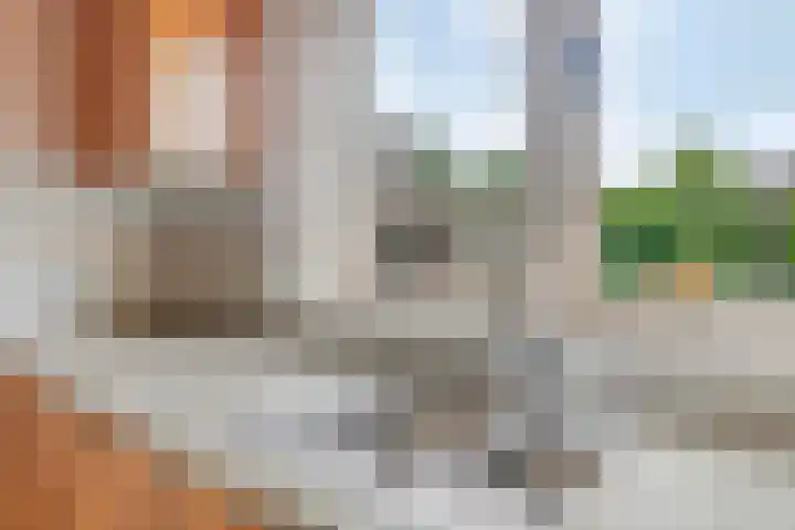 Lijsenhof 23 Brakel thumbnail 16
