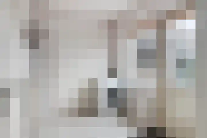 Lijsenhof 23 Brakel thumbnail 17