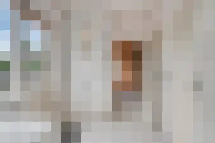 Lijsenhof 23 Brakel thumbnail 18