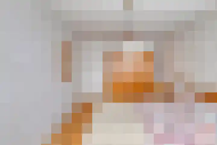 Lijsenhof 23 Brakel thumbnail 21