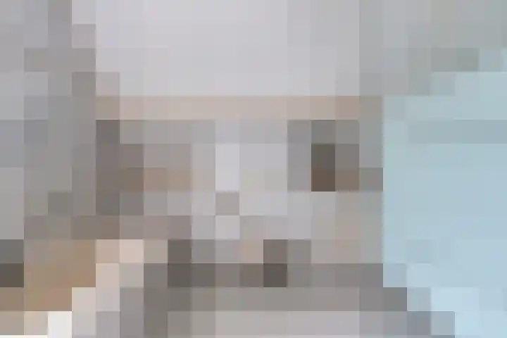 Lijsenhof 23 Brakel thumbnail 26