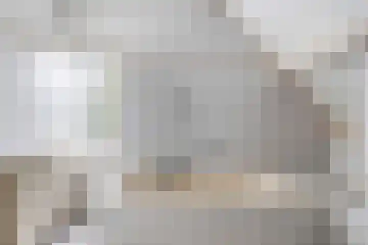 Lijsenhof 23 Brakel thumbnail 29