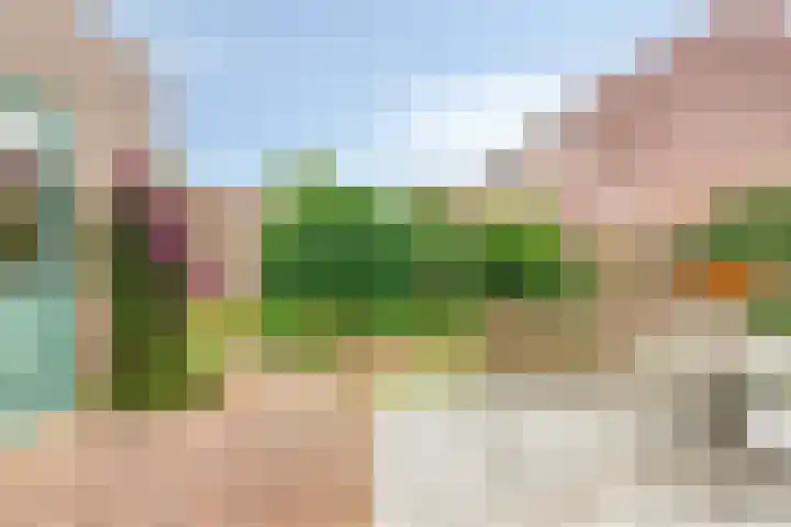 Lijsenhof 23 Brakel thumbnail 33
