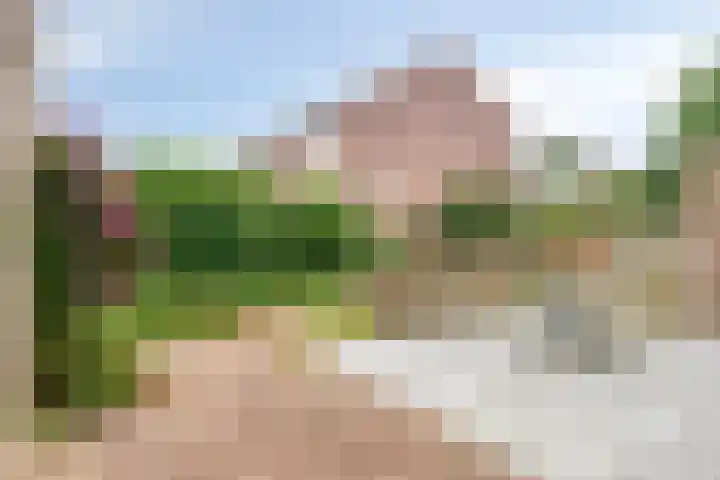 Lijsenhof 23 Brakel thumbnail 34