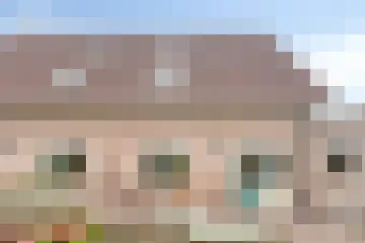 Lijsenhof 23 Brakel thumbnail 35