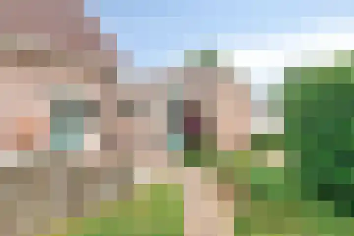 Lijsenhof 23 Brakel thumbnail 36