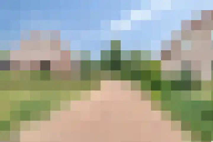 Lijsenhof 23 Brakel thumbnail 37