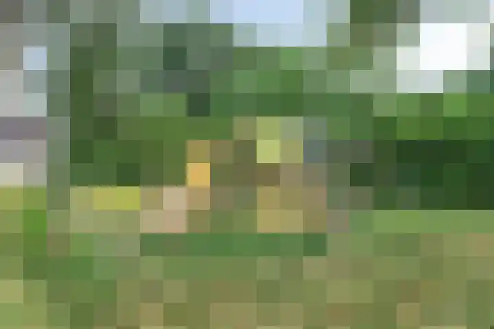 Lijsenhof 23 Brakel thumbnail 38