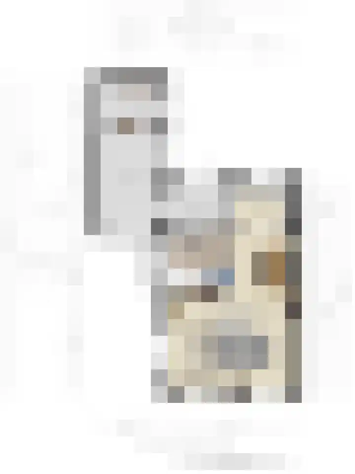 Lijsenhof 23 Brakel thumbnail 39