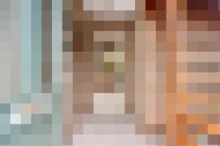 Lijsenhof 23 Brakel thumbnail 4