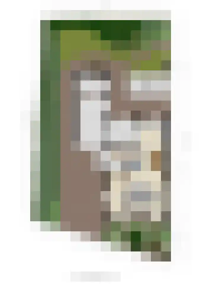 Lijsenhof 23 Brakel thumbnail 42