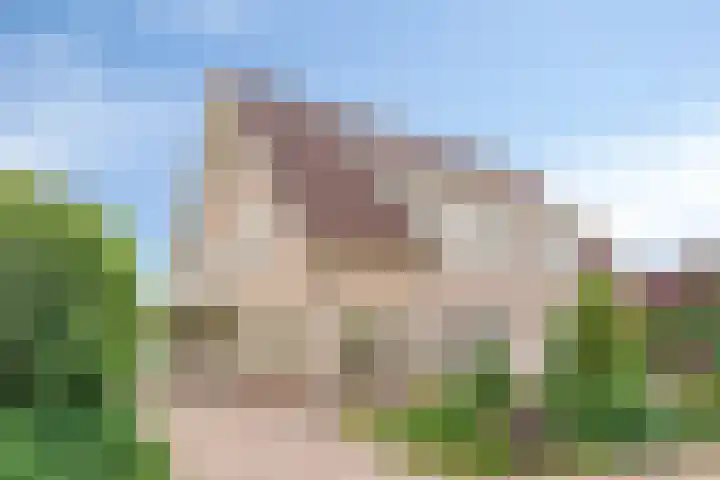 Lijsenhof 23 Brakel thumbnail 43