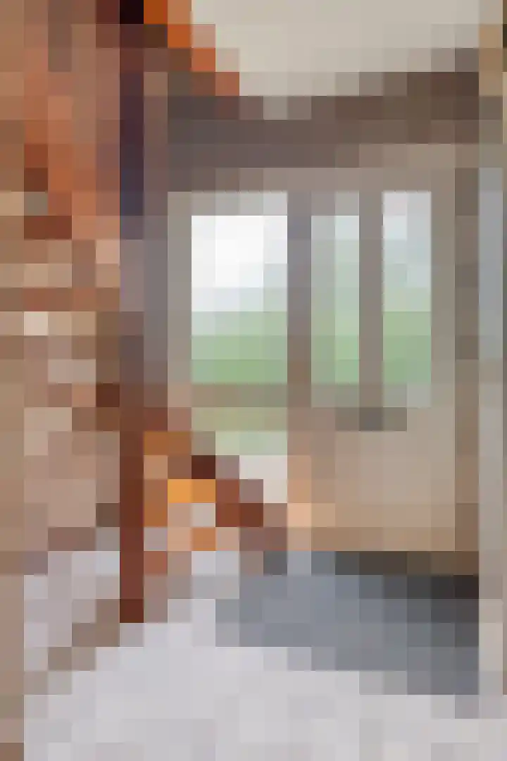 Lijsenhof 23 Brakel thumbnail 5