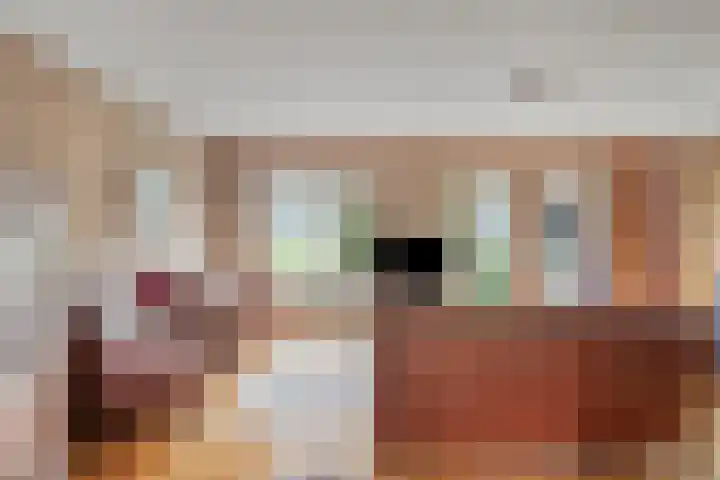Lijsenhof 23 Brakel thumbnail 8