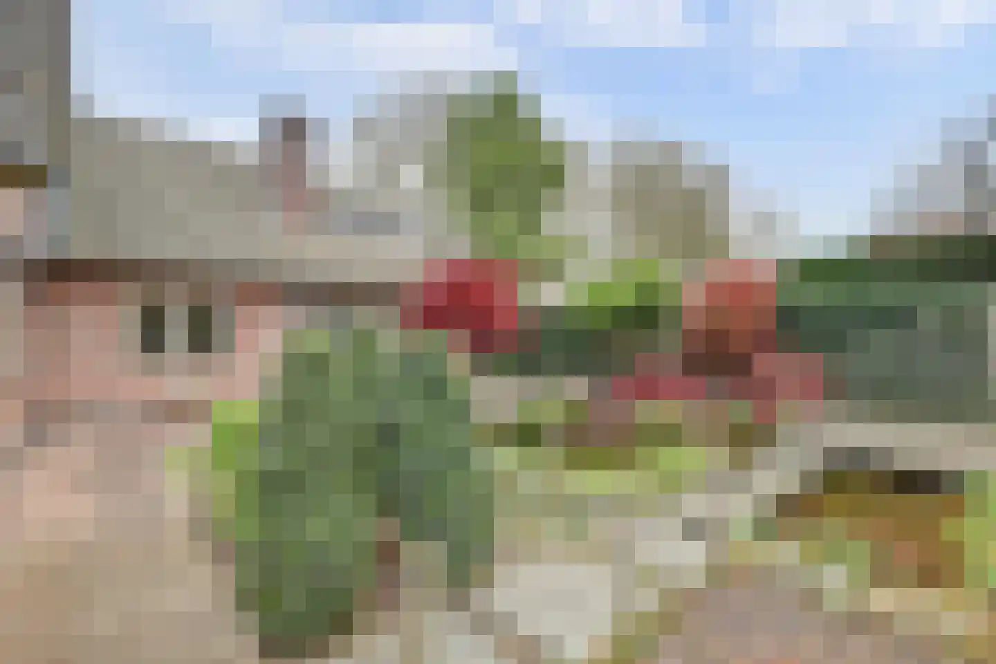 Lijsenhof 47 Brakel thumbnail 11