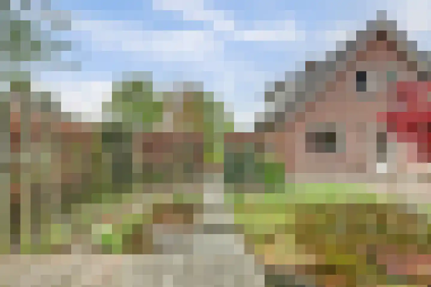 Lijsenhof 47 Brakel thumbnail 12