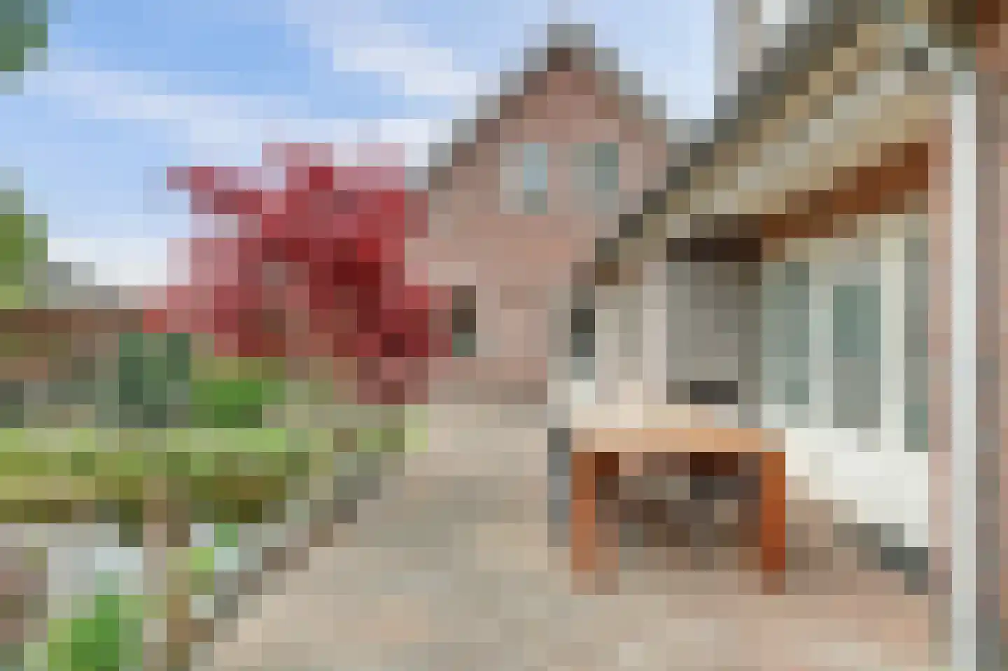 Lijsenhof 47 Brakel thumbnail 13