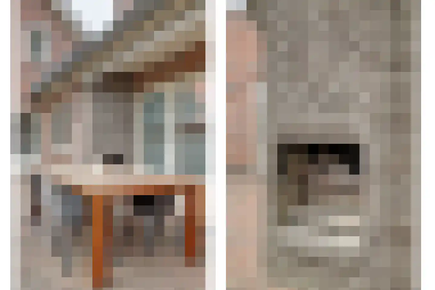 Lijsenhof 47 Brakel thumbnail 14