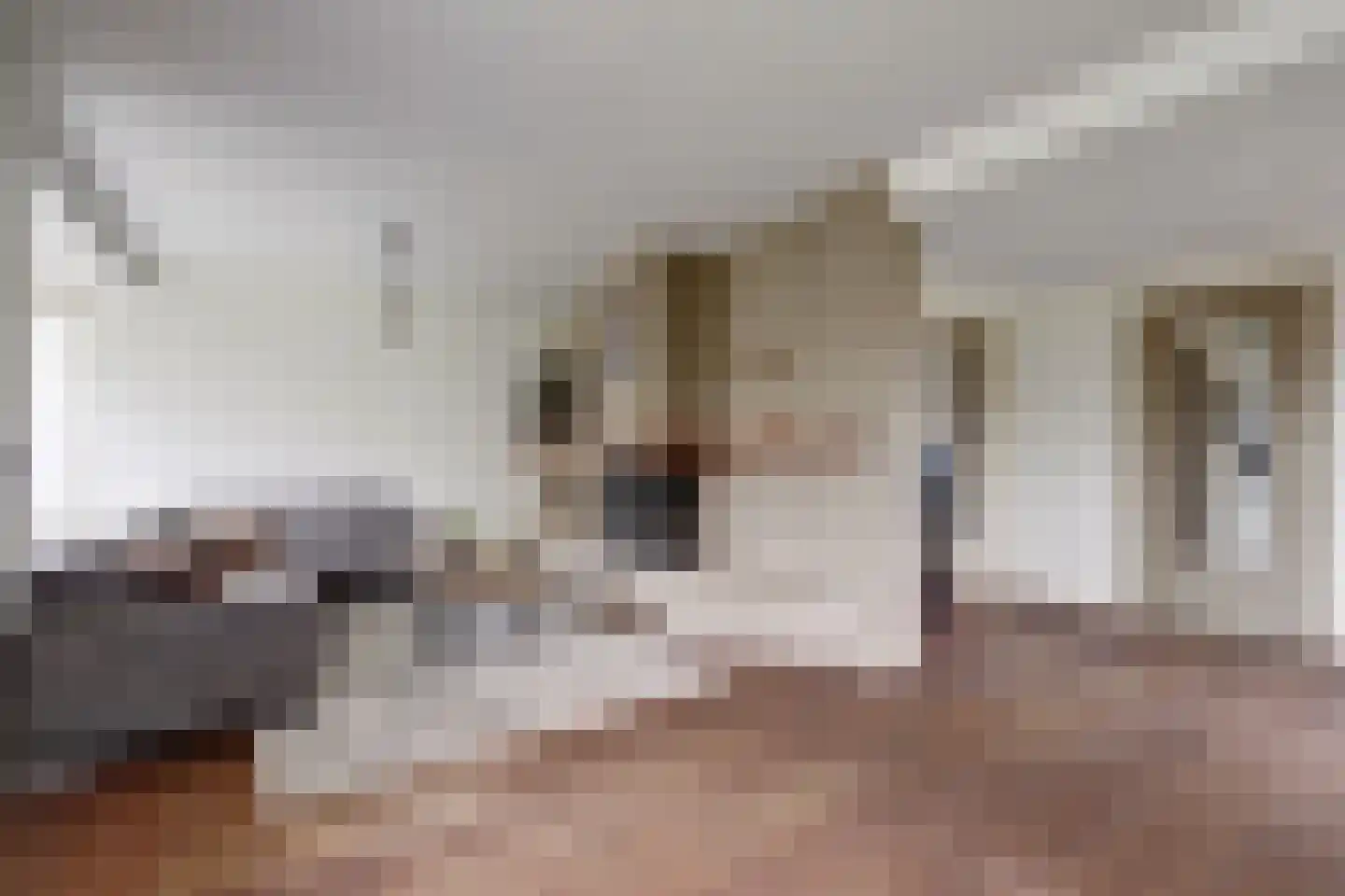 Lijsenhof 47 Brakel thumbnail 18