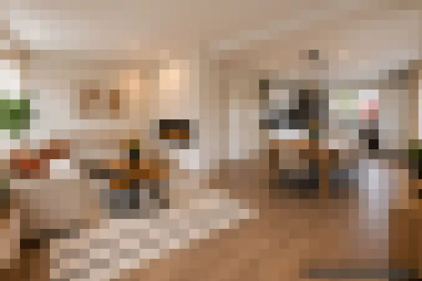 Lijsenhof 47 Brakel thumbnail 19