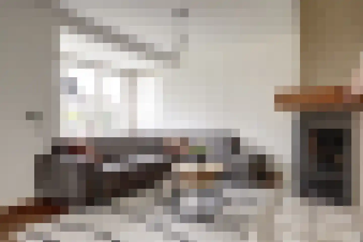 Lijsenhof 47 Brakel thumbnail 19